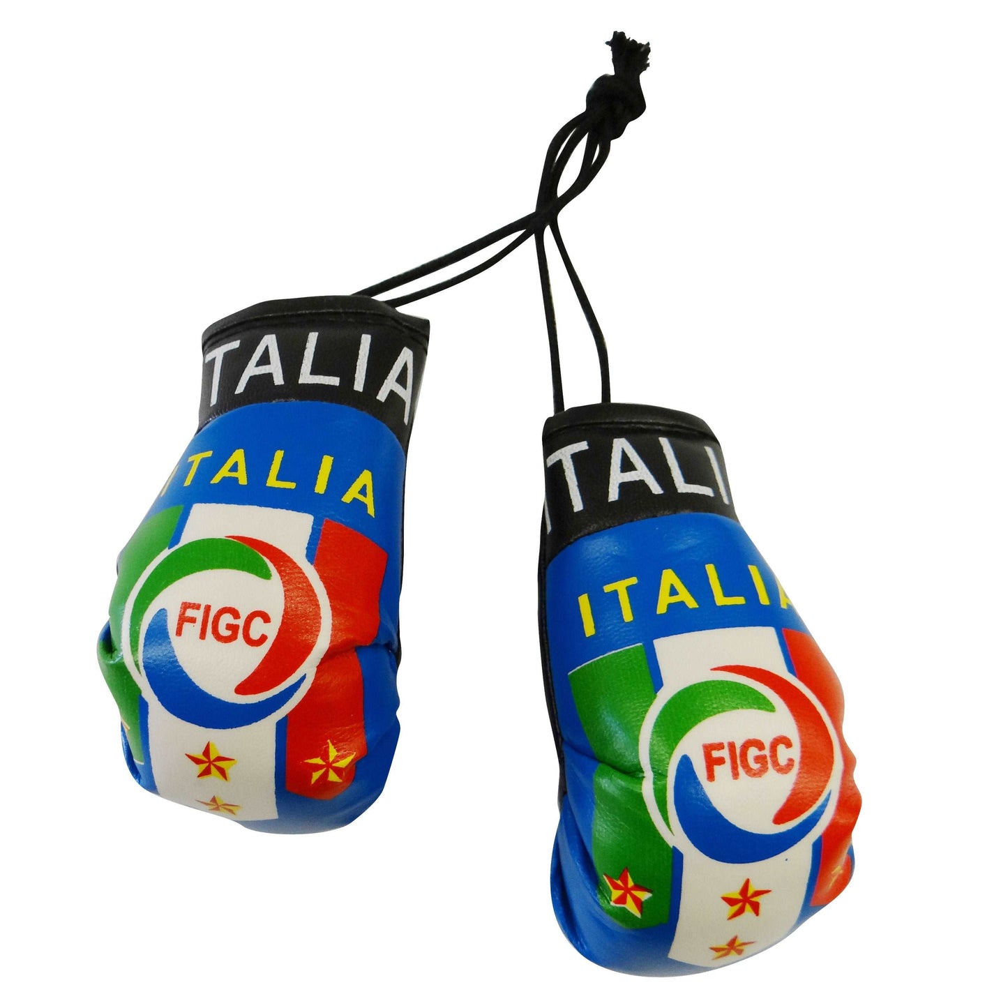 Italy Boxing Glove